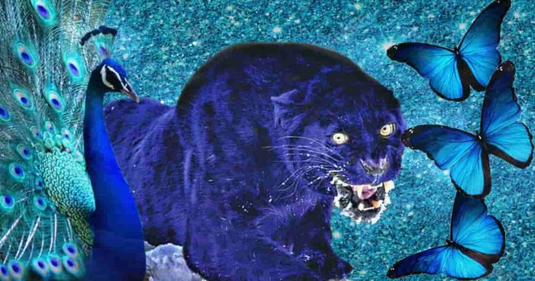 blue animals and insects